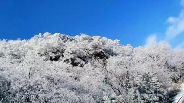 是小姑拿公公的名额买的房子，我也弟兄四怎么办呢？游戏画面