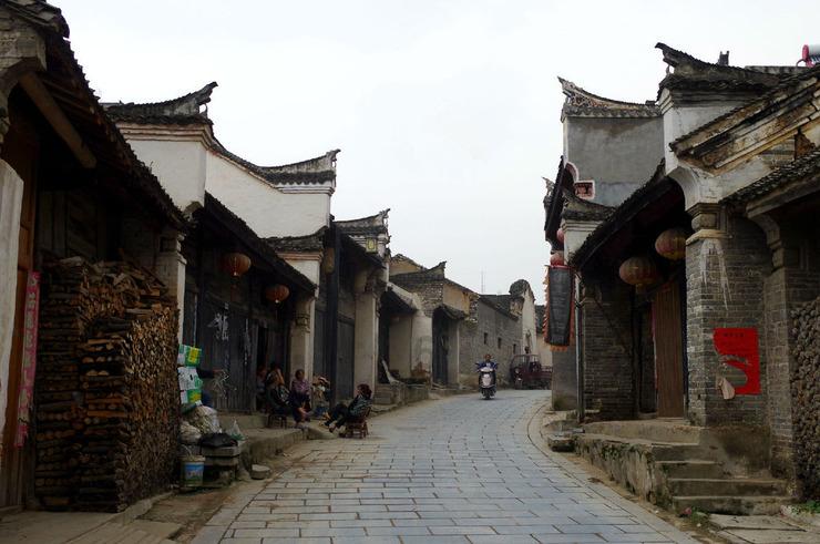 动物帮帮忙保卫家园